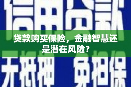 白河贷款购买保险，金融智慧还是潜在风险？