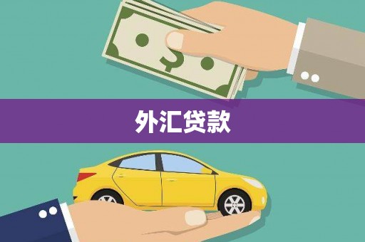 白河外汇贷款