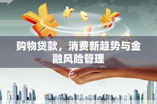 白河购物贷款，消费新趋势与金融风险管理