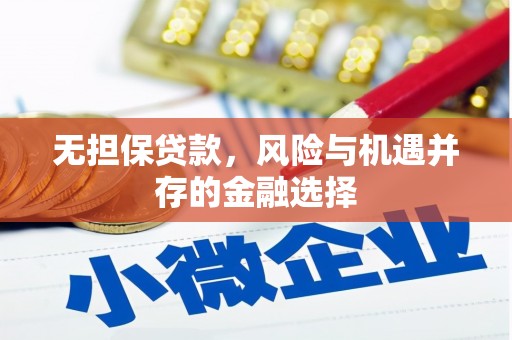白河无担保贷款，风险与机遇并存的金融选择