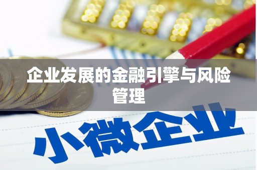 白河企业发展的金融引擎与风险管理