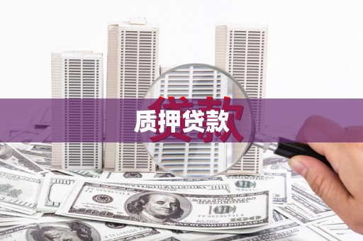 白河质押贷款