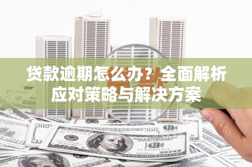白河贷款逾期怎么办？全面解析应对策略与解决方案