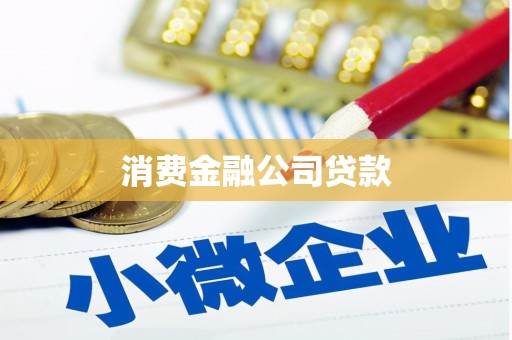 白河消费金融公司贷款
