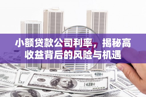 白河小额贷款公司利率，揭秘高收益背后的风险与机遇