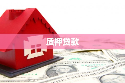 白河质押贷款
