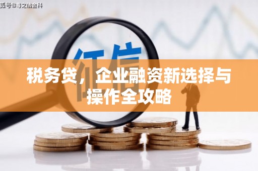 白河税务贷，企业融资新选择与操作全攻略