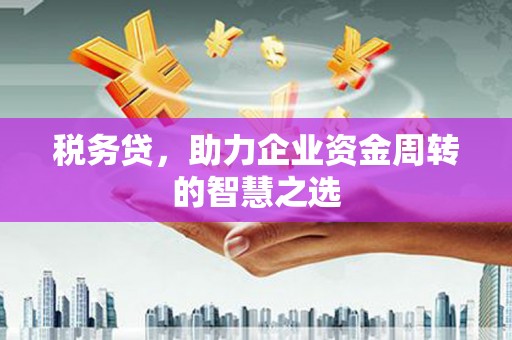 白河税务贷，助力企业资金周转的智慧之选