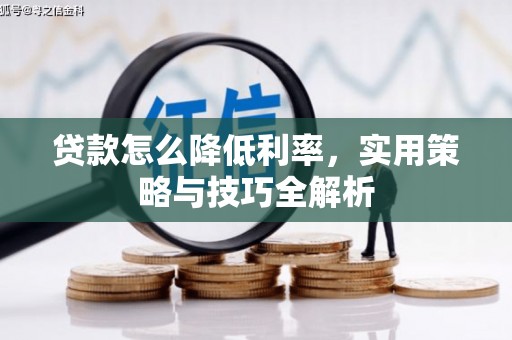 白河贷款怎么降低利率，实用策略与技巧全解析