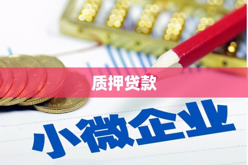 白河质押贷款