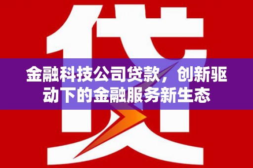 白河金融科技公司贷款，创新驱动下的金融服务新生态