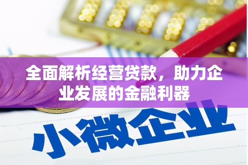 白河全面解析经营贷款，助力企业发展的金融利器