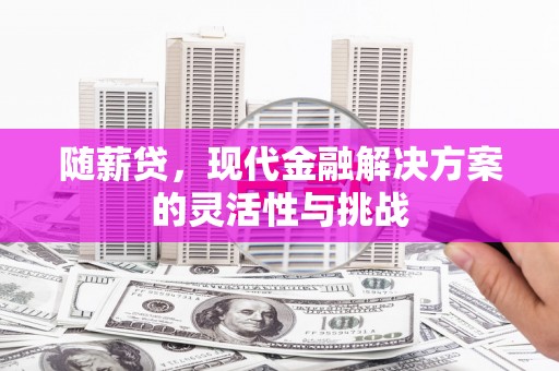 白河随薪贷，现代金融解决方案的灵活性与挑战