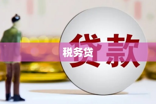 白河税务贷