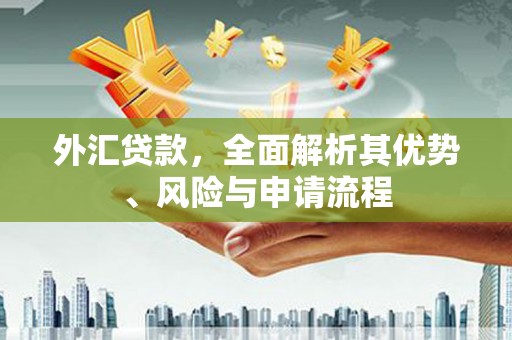 白河外汇贷款，全面解析其优势、风险与申请流程