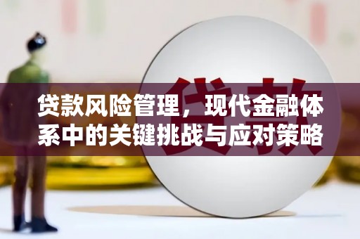 白河贷款风险管理，现代金融体系中的关键挑战与应对策略