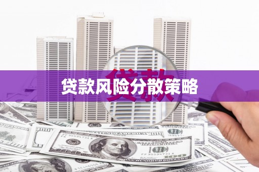白河贷款风险分散策略