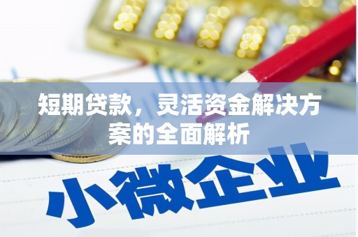 白河短期贷款，灵活资金解决方案的全面解析