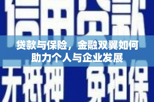 白河贷款与保险，金融双翼如何助力个人与企业发展