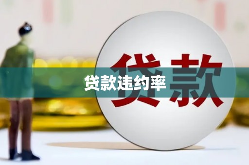 白河贷款违约率