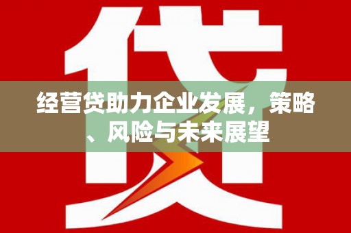 白河经营贷助力企业发展，策略、风险与未来展望