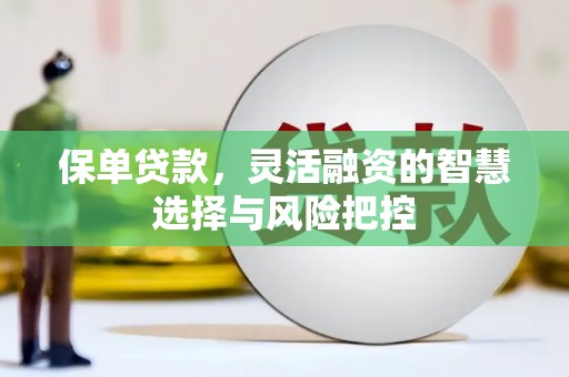 白河保单贷款，灵活融资的智慧选择与风险把控