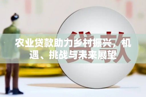 白河农业贷款助力乡村振兴，机遇、挑战与未来展望