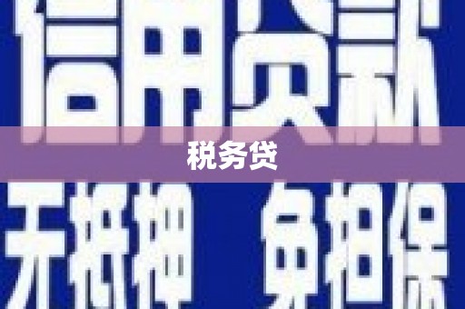 白河税务贷