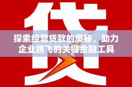 白河探索经营贷款的奥秘，助力企业腾飞的关键金融工具