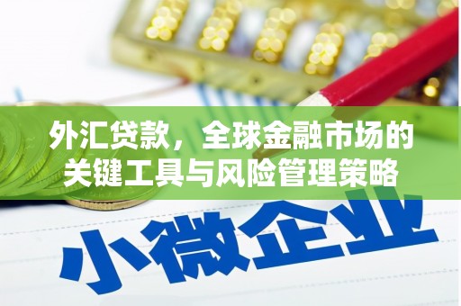 白河外汇贷款，全球金融市场的关键工具与风险管理策略
