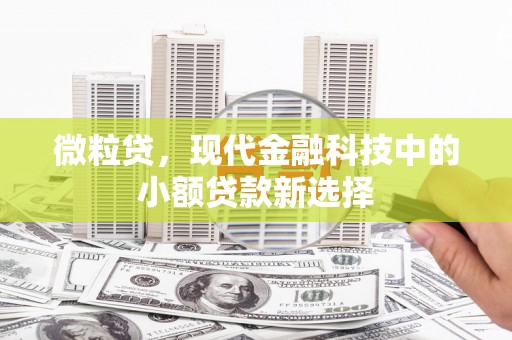 白河微粒贷，现代金融科技中的小额贷款新选择