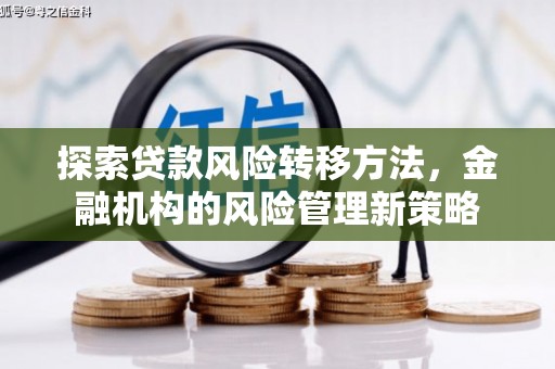 白河探索贷款风险转移方法，金融机构的风险管理新策略