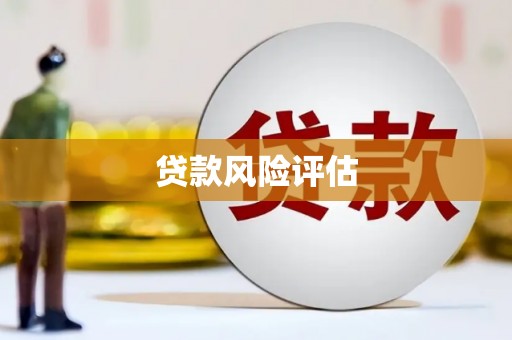 白河贷款风险评估