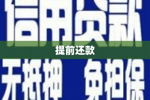 白河提前还款