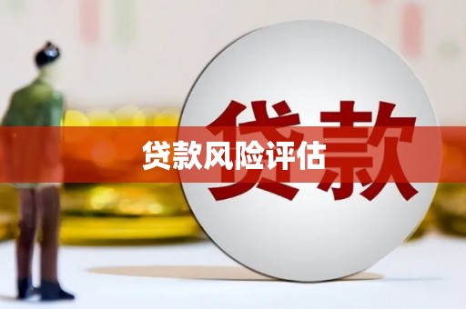 白河贷款风险评估