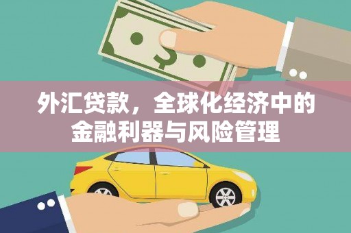 白河外汇贷款，全球化经济中的金融利器与风险管理