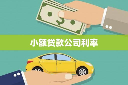 白河小额贷款公司利率