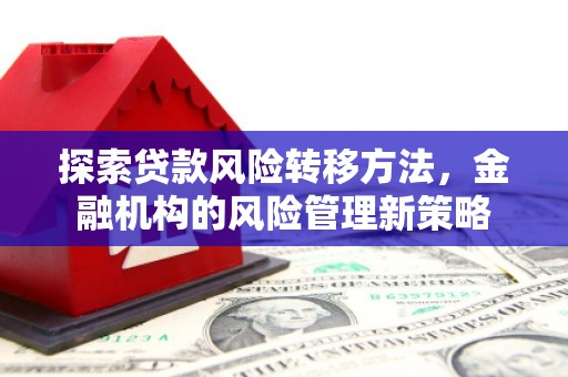 白河探索贷款风险转移方法，金融机构的风险管理新策略