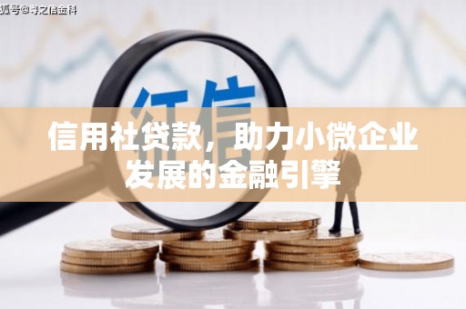 白河信用社贷款，助力小微企业发展的金融引擎