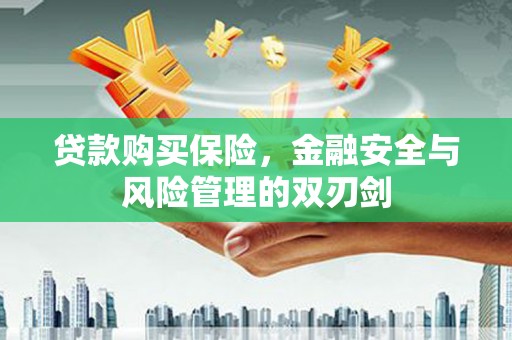 白河贷款购买保险，金融安全与风险管理的双刃剑