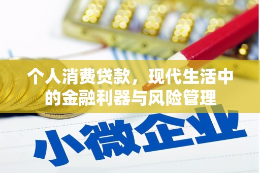 白河个人消费贷款，现代生活中的金融利器与风险管理