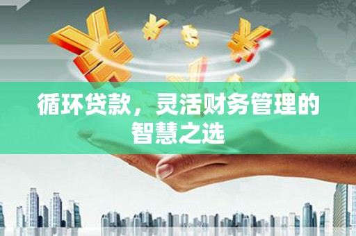 白河循环贷款，灵活财务管理的智慧之选