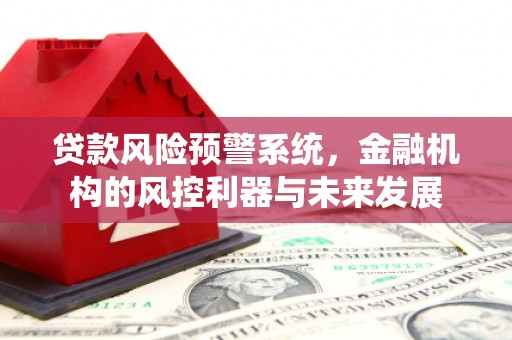 白河贷款风险预警系统，金融机构的风控利器与未来发展