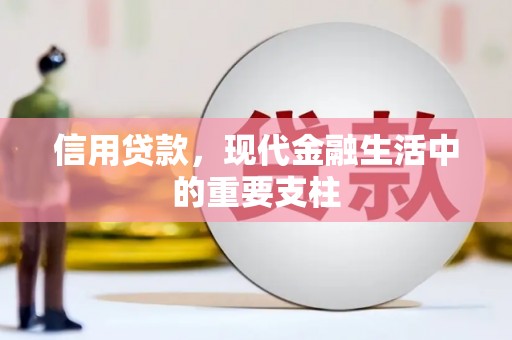 白河信用贷款，现代金融生活中的重要支柱