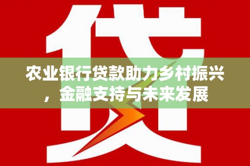 白河农业银行贷款助力乡村振兴，金融支持与未来发展