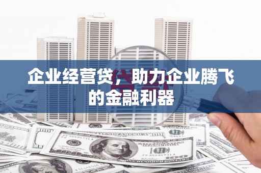 白河企业经营贷，助力企业腾飞的金融利器