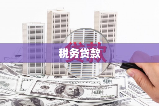 白河税务贷款