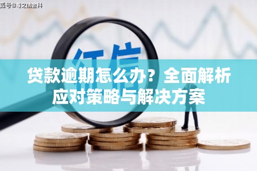 白河贷款逾期怎么办？全面解析应对策略与解决方案