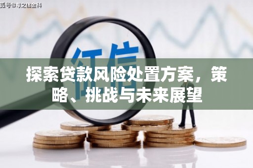 白河探索贷款风险处置方案，策略、挑战与未来展望