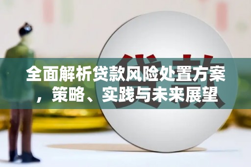 白河全面解析贷款风险处置方案，策略、实践与未来展望